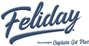 logo-feliday-2